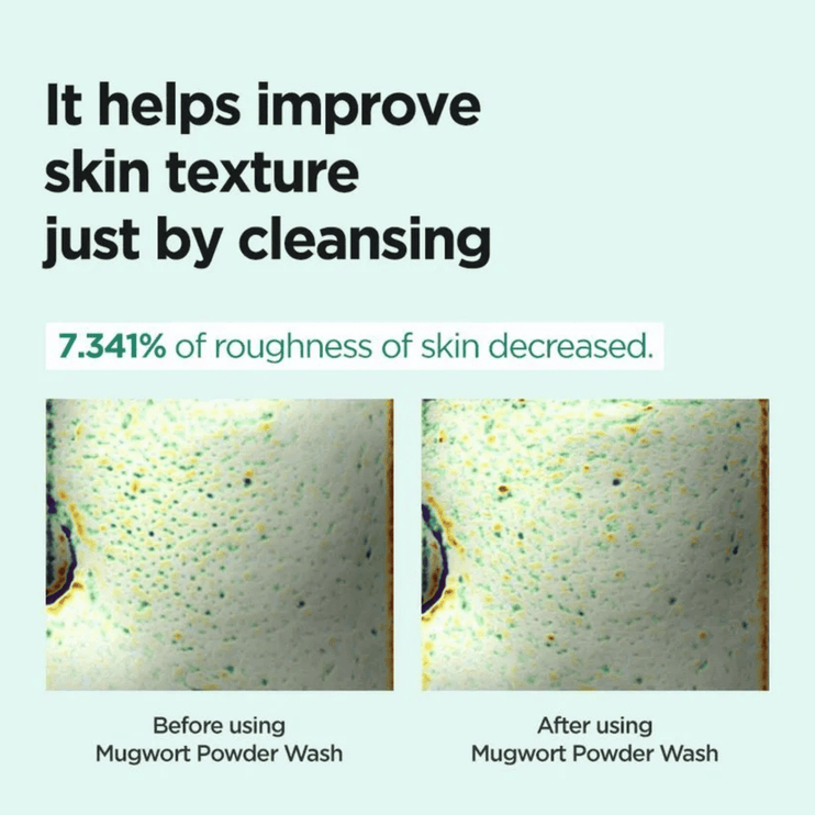 ISNTREE - Mugwort Calming Powder Wash 15g