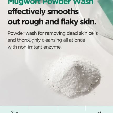 ISNTREE - Mugwort Calming Powder Wash 15g