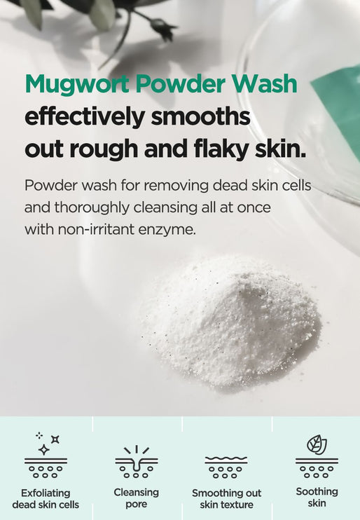 ISNTREE - Mugwort Calming Powder Wash 15g