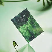 SKIN1004-Madagascar Centella TeaTrica Relaxing mask Μάσκα Προσώπου 1PC